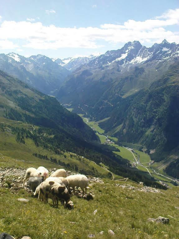 Ferienwohnung Bergspitz 皮茨河谷圣莱昂哈德 外观 照片